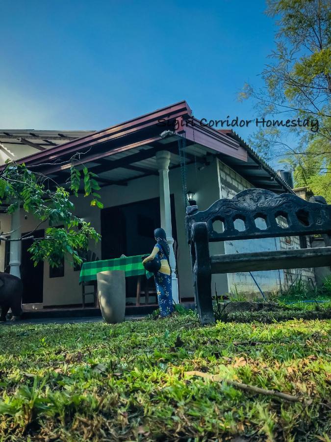 Sigiri Corridor Home Stay Sigiriya Luaran gambar